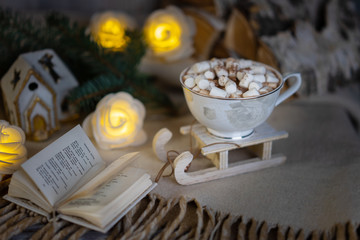 Winter Christmas still life.