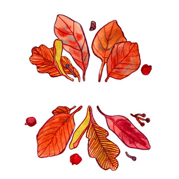 Watercolor fall leaves and seeds on white
