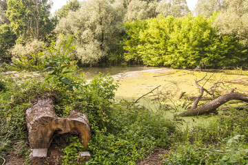 Bereguardo, Pavia, Ticino river, Italy