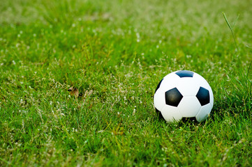 The ball on the grass in the green field on the football field ready for the penalty. And start playing football seriously.