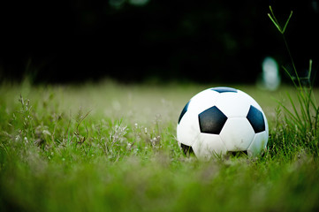 The ball on the grass in the green field on the football field ready for the penalty. And start playing football seriously.