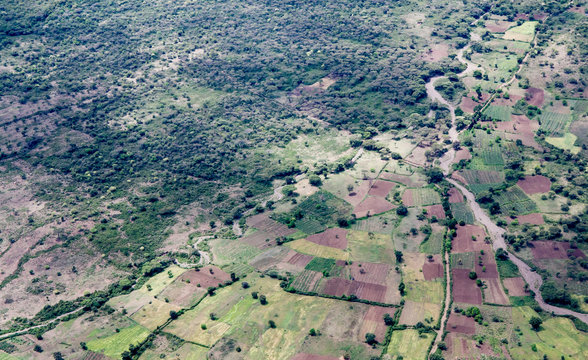 High aerial view of farms and forest in Ethiopia near Arba Minch.