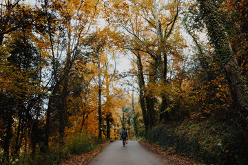 Obraz premium Man walking in the road in the autumn forest of Canada