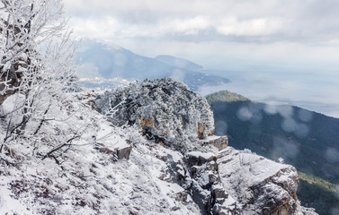 View from a snow-covered mountain peak to a green forest and the sea	