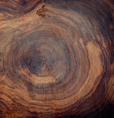 Old wood background texture, oak, macro, rough, design, tree,