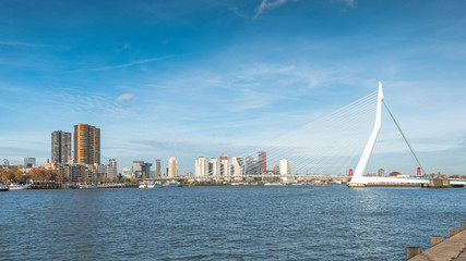 Fototapeta premium skyline from rotterdam