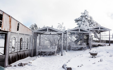 Crimean snowy forest in the mountains