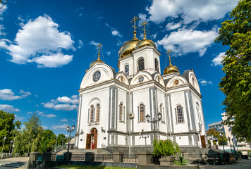 Fototapeta na wymiar Alexander Nevsky Cathedral in Krasnodar, Russia