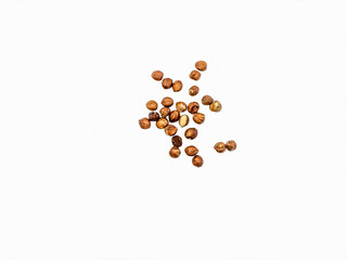 Hazelnuts on white background isolate