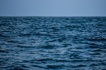 Fototapeta premium Esprit de la mer