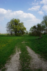 Fototapeta na wymiar Schwäbische Landschaft bei Ulm