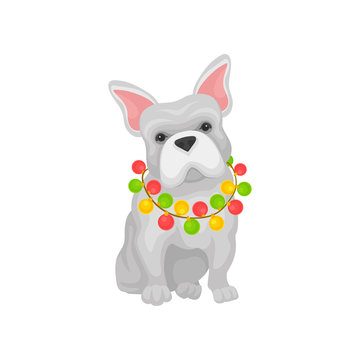 Adorable french bulldog with Christmas garland on neck. Home pet. Flat vector icon