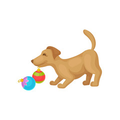 Funny puppy playing with colorful Christmas ball toys. Small dog with brown fur. Home pet. Flat vector design