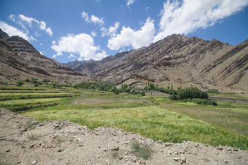 Ladakh Landscapes