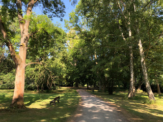 Path through the Bürger Park in Braunschweig