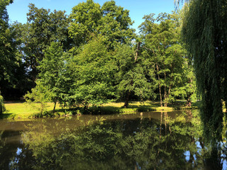 Lake at the Bürger Park