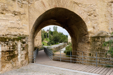 Fototapeta na wymiar Tunel under the roman bridge of cordoba, andalucia