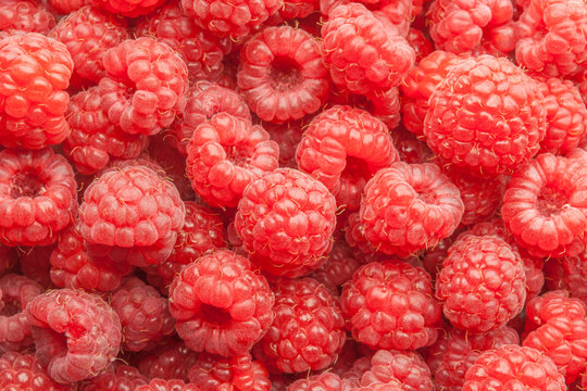 Raspberry close up wallpaper