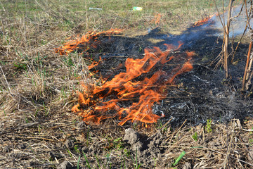 Grass burning. Burning grass releases more nitrogen pollution than burning wood
