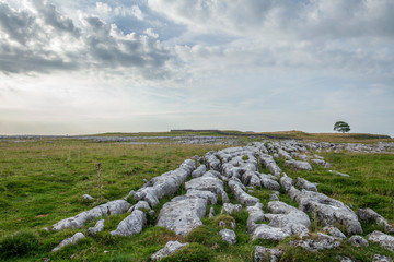 Limestone Grykes above Malham in the Yorkshire Dales National Park - 233584056