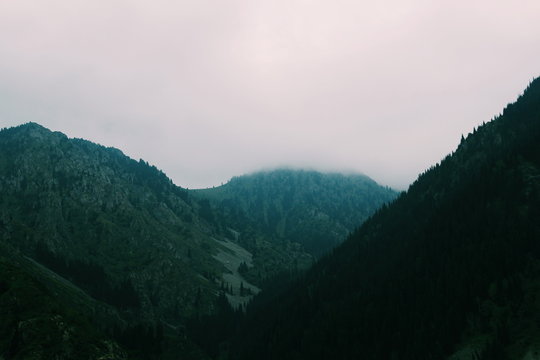 Processed with VSCO with c1 preset
