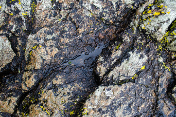 Wet Rock Background Resource