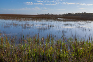 Images from Botany Bay Plantation, Edisto Island, South Carolina.
