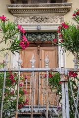 Fototapeta na wymiar Doorway with Rhododendrons on the metal gate