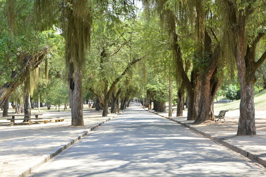 parques