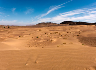 Fototapeta na wymiar Wanderung durch die Wüste Sahara im Süden von Marokko in der Nähe von Zagora