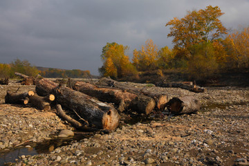 осенний пейзаж