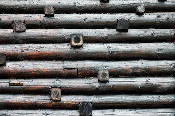 graphic wood texture