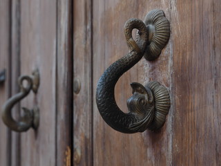  Old door with snake-shaped handles.