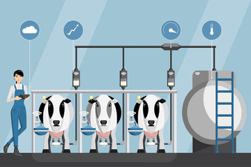 Asian woman farmer with tablet on a modern dairy farm. Smart farming, herd management and automatic milking. Vector illustration.