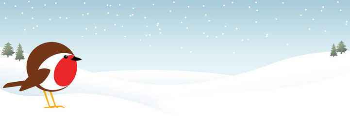 robin in the snow banner