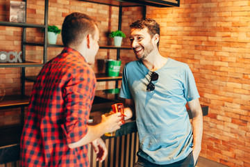 Two men in casual clothes having a conversation at bar counter in pub