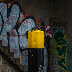 Taube, Spree, Boot, Fahrt, Berlin,