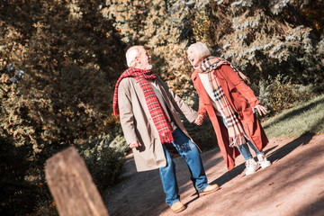 Happy nice aged couple having a romantic walk