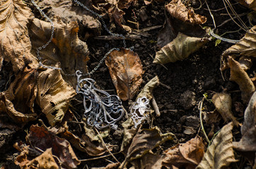 Art nouveau jewelry outside on the ground with autumn leaves