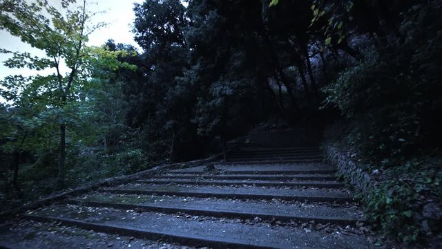 Night dark mystical stairway road in a mountain park. Fairy dangerous twilight way. Dolly shot