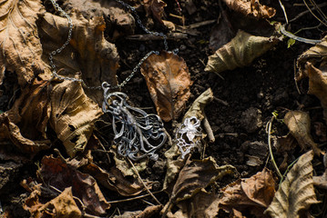 Art nouveau jewelry outside on the ground with autumn leaves