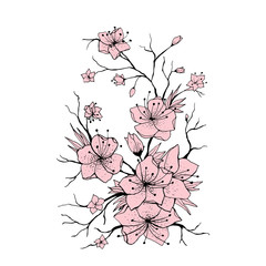 Sakura branch hand drawn illustration. Japanese Cherry tree twig. Pink flowers and buds on white background. Sakura branch with cherry blossom. Poster, logo floral design element. Isolated vector