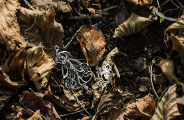 Art nouveau jewelry outside on the ground with autumn leaves