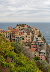 Fototapeta na wymiar Vue de Manarola - Cinque Terre pres de La Spezia en Ligurie - Italie