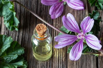 Obraz na płótnie Canvas A bottle of common mallow essential oil with blooming malva sylvestris plant
