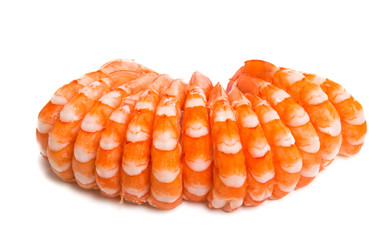 boiled shrimp isolated