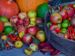 Autumn Harvest 
