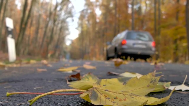 Auto fährt auf Landstrasse im Herbst 