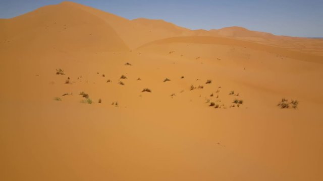 Pan from the Erg Chebbi Sahara erg in Morocco, Africa