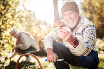 Forest mushroom being held by a positive cheerful man